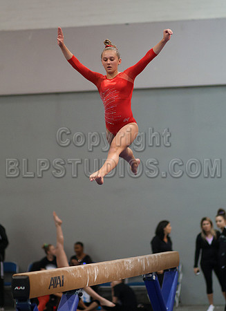 HSM_4375