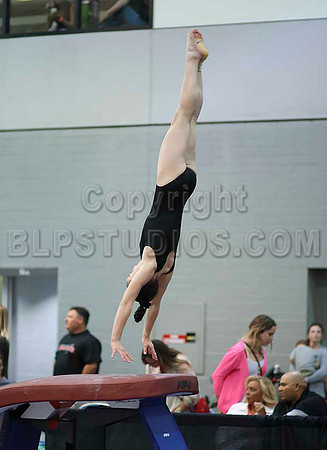 HSM_5520
