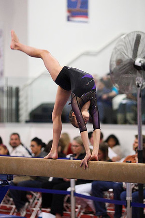 TAZ27841
