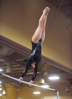 BEC_0033