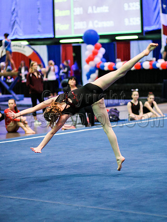 HSM_0601