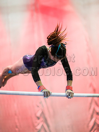 HSM_1184