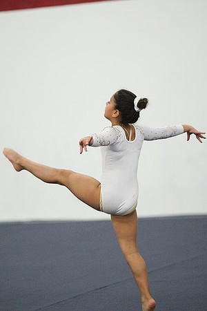 TAZ29633