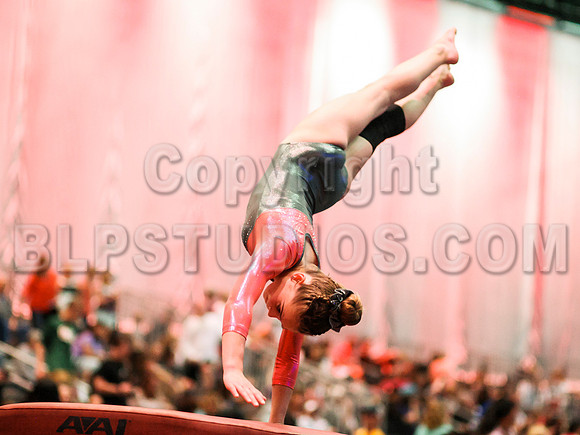 HSM_1313
