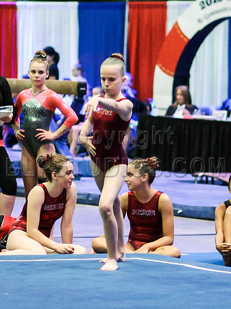 HSM_0711