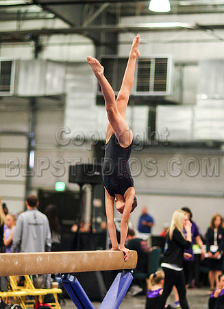 HSM_0963