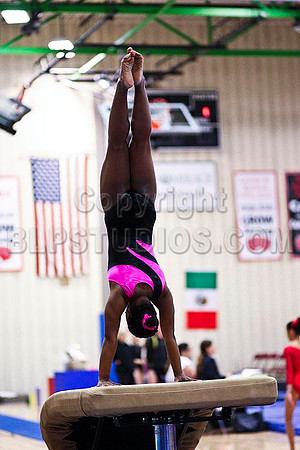 TAZ11239