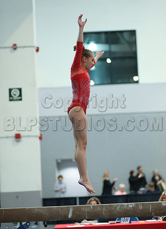 HSM_4621