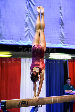 HSM_0343