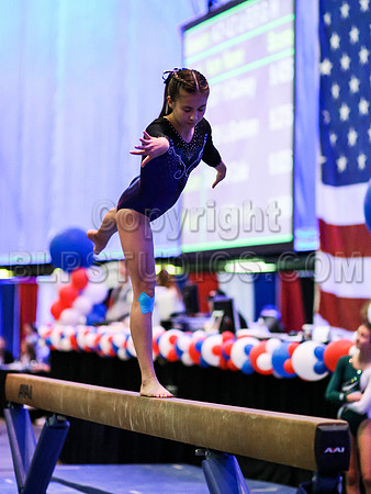 HSM_0245