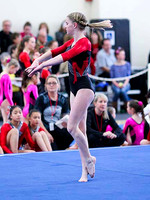 HSM_0730