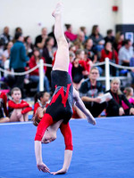 HSM_0736