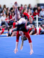 HSM_0715
