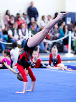 HSM_0710