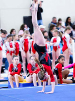 HSM_0722