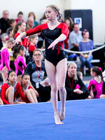 HSM_0729