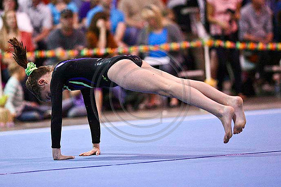 HSM_4363