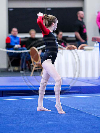 HSM_0804