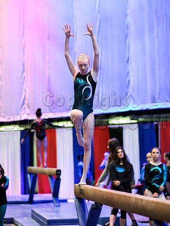 HSM_0676