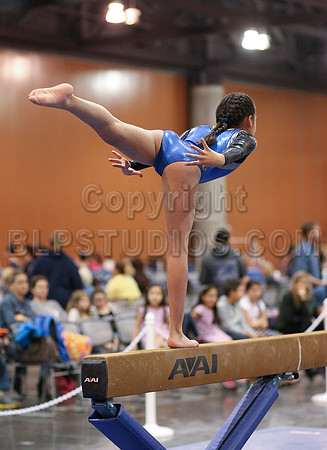 HSM_0481