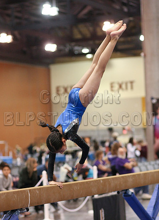 HSM_0527