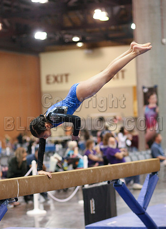 HSM_0528