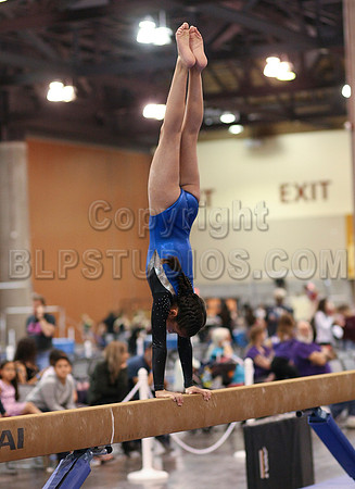 HSM_0526