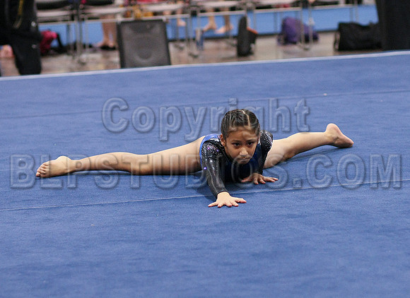 HSM_0974