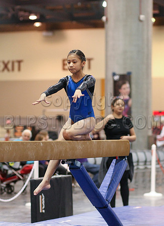 HSM_0462