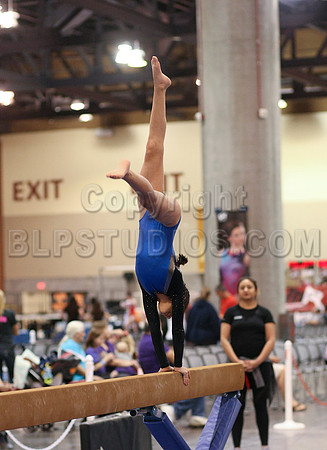 HSM_0487