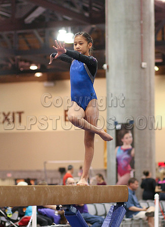 HSM_0489