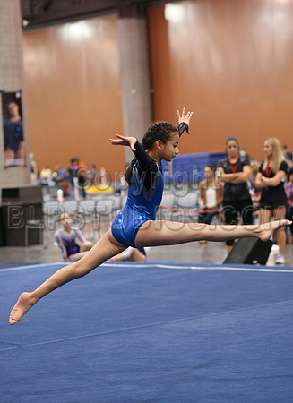HSM_0985