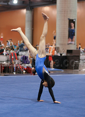 HSM_1009