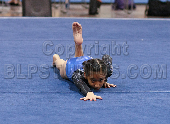 HSM_0977