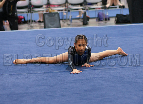 HSM_0973