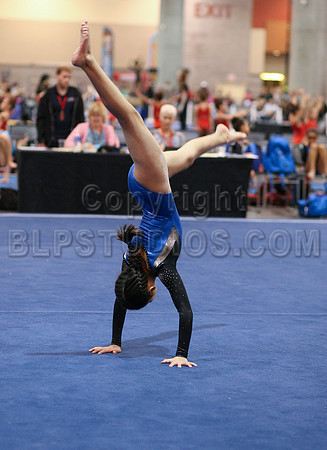 HSM_0944