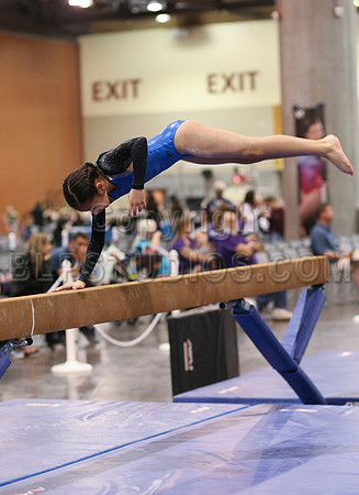 HSM_0529