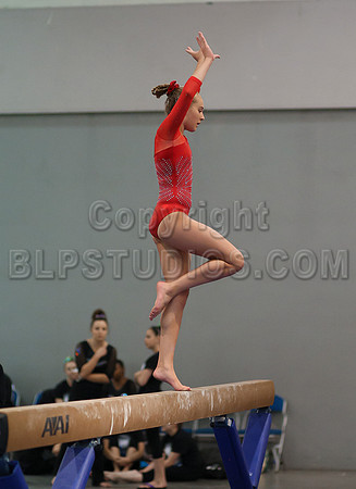HSM_4386