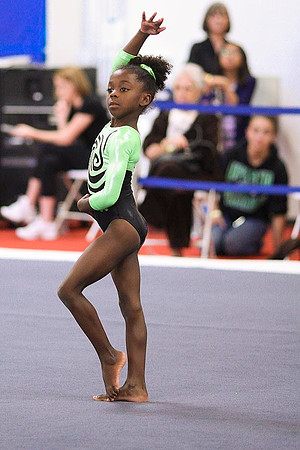 TAZ22011