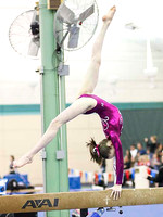 HSM_4311