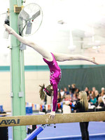 HSM_4313