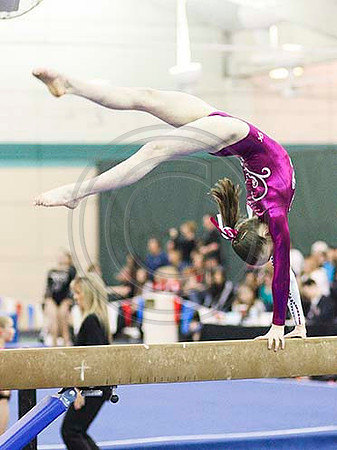 HSM_4332