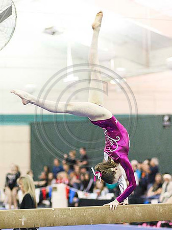 HSM_4333