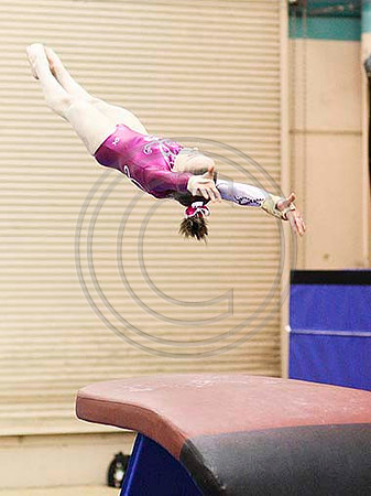 HSM_5019