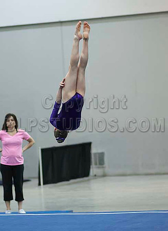 HSM_6462