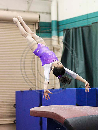 HSM_0774