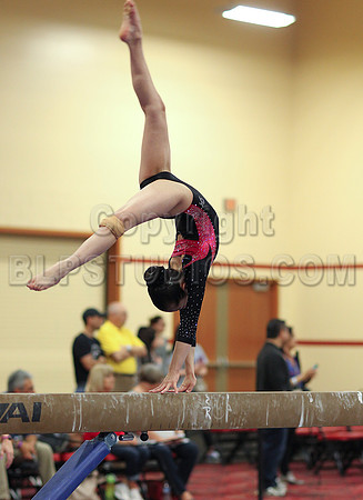 HSM_3635