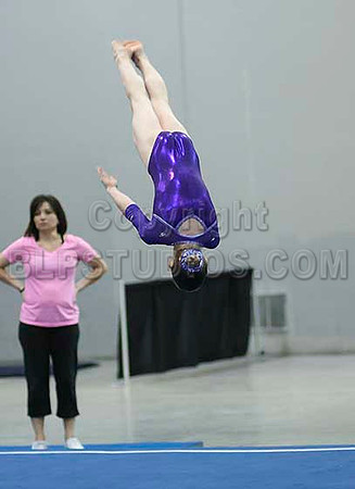 HSM_6463