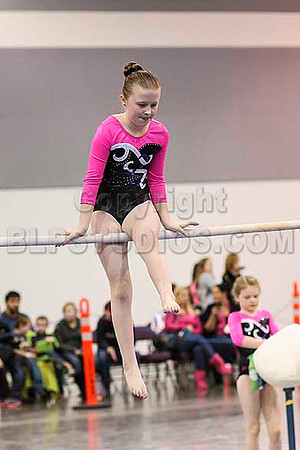 HSM_3956