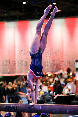 HSM_1168